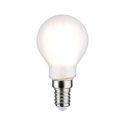 Ampoule LED PAULMANN filament shpérique 806lm E14 2700K 6,5W dépoli 230V - 28652