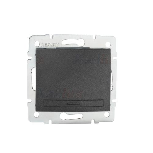 Interrupteur simple allumage 10A graphite connexion rapide