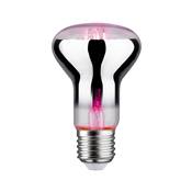 Ampoule LED PAULMANN filament Plant R63 E27 6,5W 230V - 28732