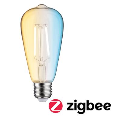 Ampoule LED PAULMANN ZB filament ST64 806lm 2200-6500K clr gr E27 7 W 230V - 503