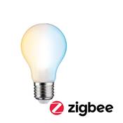 Ampoule LED PAULMANN ZB filament std 806lm 2200-6500K dép gr E27 7 W 230V - 5039