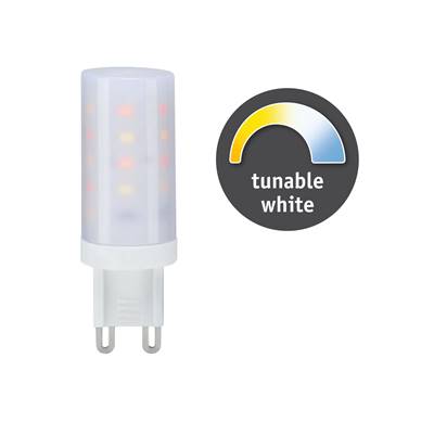 Ampoule LED PAULMANN bi-pin G9 300lm 2700K tunW 230V tunW 230V - 28820