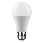 Ampoule LED Globe A65 15W E27 Angle 270 6000K