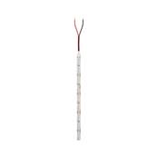 Pro Strip LED Gold P150 965 5m   62W 1600lm/m 160LEDs/m 6500K