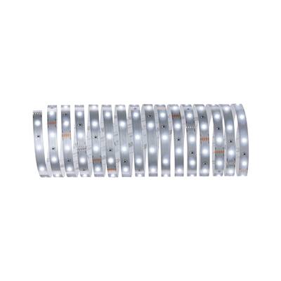 Ruban PAULMANN MaxLED 250 5m Lumière du jour IP20 6500K 20W 230/24V Argent - 798