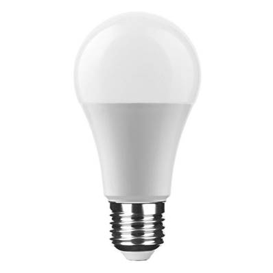 Ampoule LED Globe A60 9W E27 Angle 270° 6000K