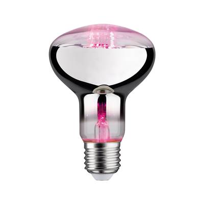 Ampoule LED PAULMANN filament Plant R80 E27 6,5W 230V - 28733