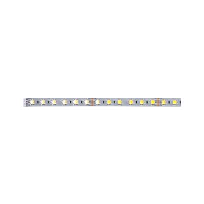 Ruban LED PAULMANN MaxLED 1m TunW 24V Argent - 70566