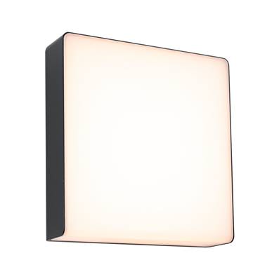 Applique d'extérieur LED Azalena Détecteur haute fréquence IP44  250mm 3000K 8,5