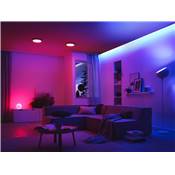 Contrôleur PAULMANN YourLED SmartHome ZB RGB max. 60W 12V DC blanc/gris - 50049
