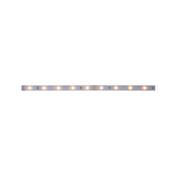 Ruban PAULMANN MaxLED 250 1m Blanc chaud IP20 2700K 230/24V Argent - 79853