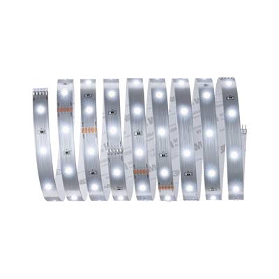 Ruban PAULMANN MaxLED 250 2,5m Lum du jour IP20 6500K 10W 230/24V Argent - 79858