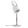 Lampe  poser Haldar Paulmann Neordic 79658