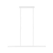 Suspension PAULMANN Lento BLE LED TunW Blanc 230 V aluminium / - 79903