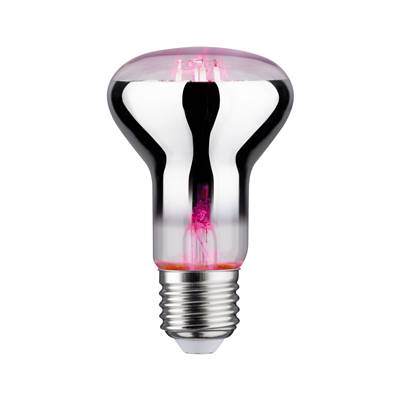 Ampoule LED PAULMANN filament Plant R63 E27 6,5W 230V - 28732