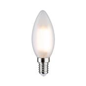 Ampoule LED PAULMANN filamenta shpérique 806lm E14 2700K 6,5W mat 230 V - 28645