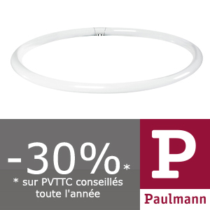 Ampoule Fluo PAULMANN