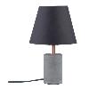 Lampe  poser Tem Paulmann Neordic 79622